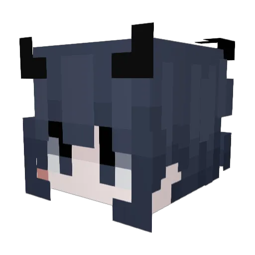 Anterosl Minecraft avatar head, 3D render