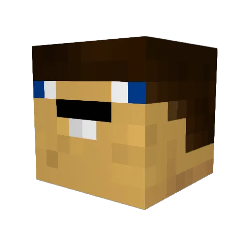 Anth000000 Minecraft avatar head, 3D render