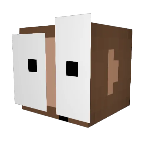 Anth0kage Minecraft avatar head, 3D render