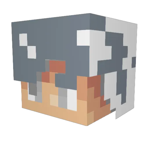 Anth0nyM Minecraft avatar head, 3D render