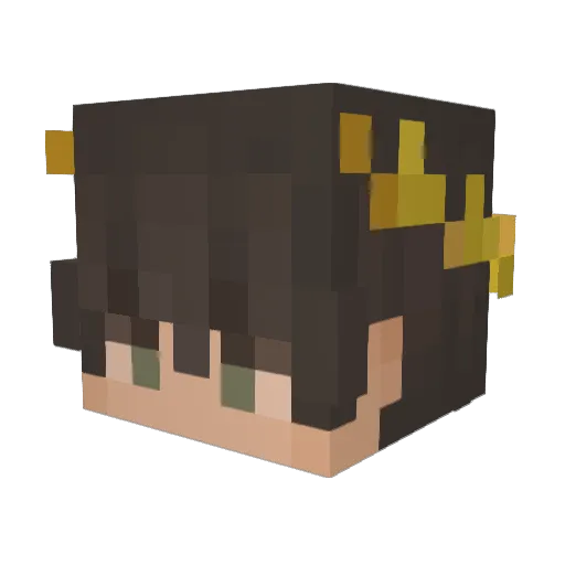 AnthM666 Minecraft avatar head, 3D render