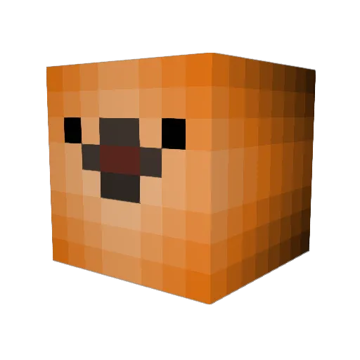 Anthimation Minecraft avatar head, 3D render