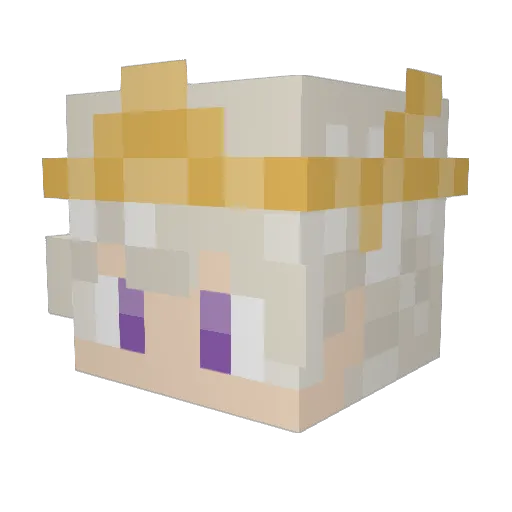 Anthonanon Minecraft avatar head, 3D render