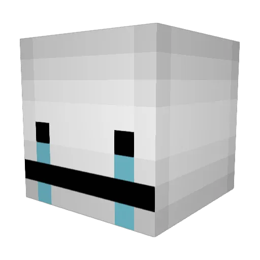 Anthongus Minecraft avatar head, 3D render
