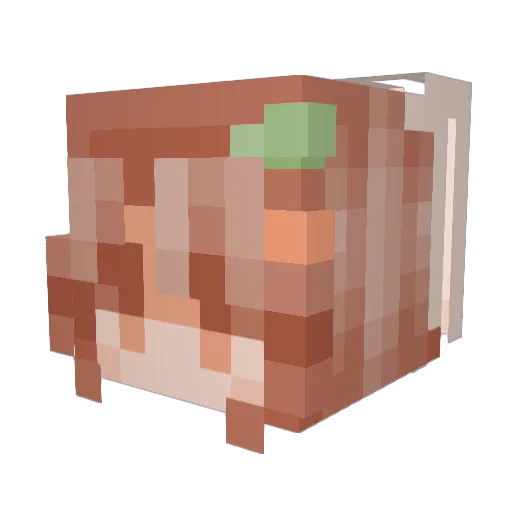 Anthoni67 Minecraft avatar head, 3D render