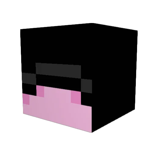 Anthony00XD Minecraft avatar head, 3D render