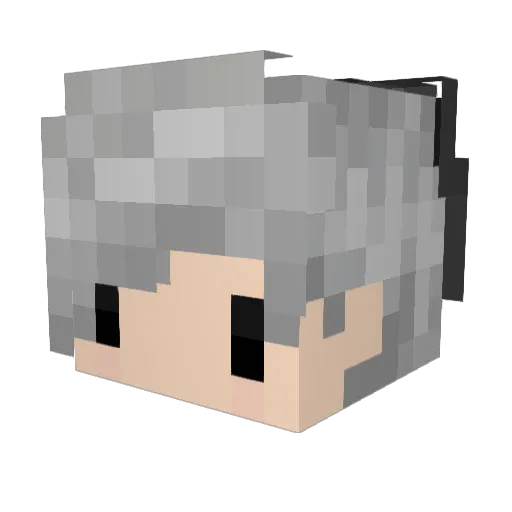 Anthony112806 Minecraft avatar head, 3D render