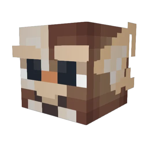 Anthony42078 Minecraft avatar head, 3D render