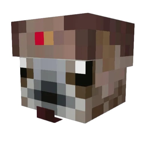 Anthony78903 Minecraft avatar head, 3D render