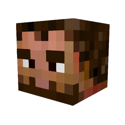 Anthony95460 Minecraft avatar head, 3D render