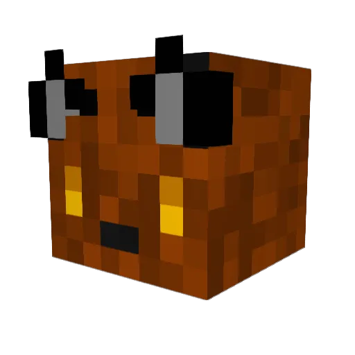 Anthony971 Minecraft avatar head, 3D render