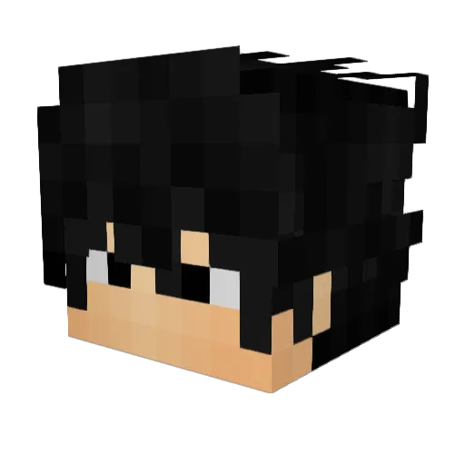 AnthonyCrish Minecraft avatar head, 3D render