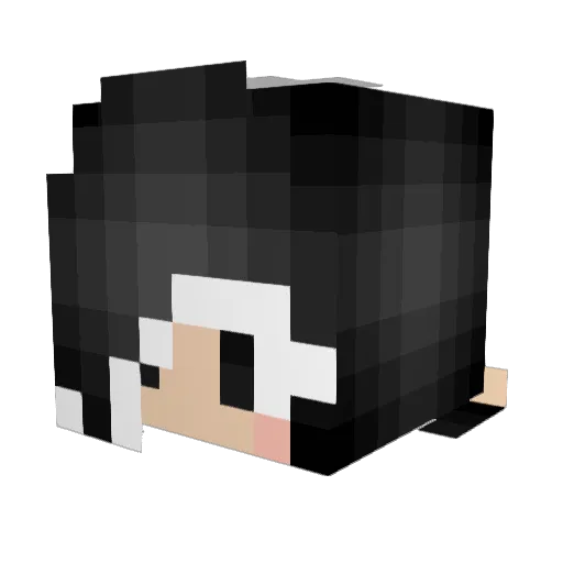 AnthonyLe Minecraft avatar head, 3D render