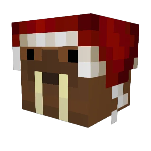 AnthonyPistachio Minecraft avatar head, 3D render