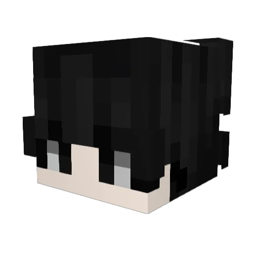 Anthony_222 Minecraft avatar head, 3D render