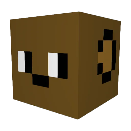 Anthony_69 Minecraft avatar head, 3D render