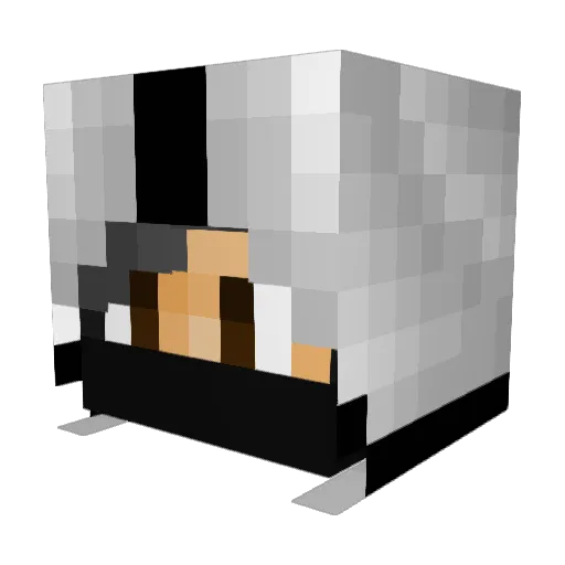 Anthony_O7 Minecraft avatar head, 3D render