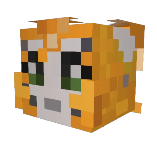 Anthonyfox Minecraft avatar head, 3D render