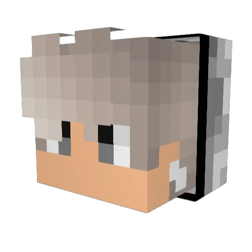 Anthonylin15 Minecraft avatar head, 3D render