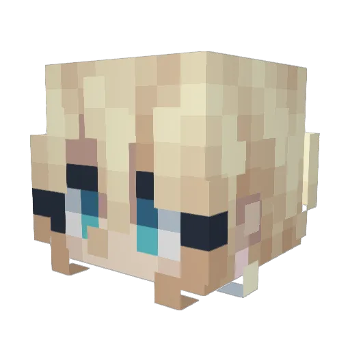 Anthracycline Minecraft avatar head, 3D render
