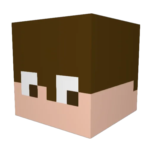 Anti0ss Minecraft avatar head, 3D render