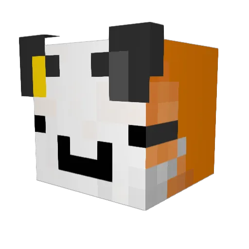 AntiAsasincraft Minecraft avatar head, 3D render