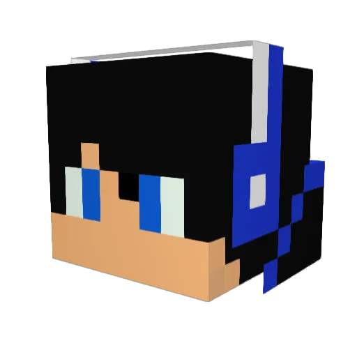 AntiCheatIsDoof Minecraft avatar head, 3D render