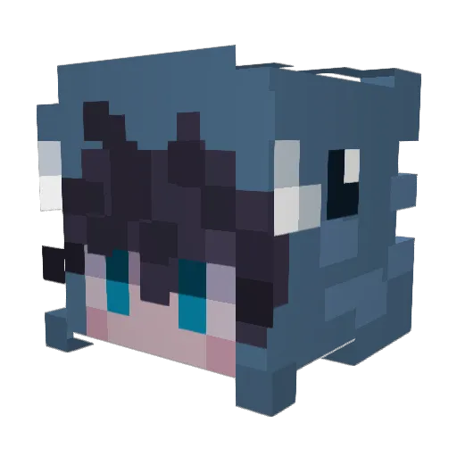 AntiClash_ Minecraft avatar head, 3D render