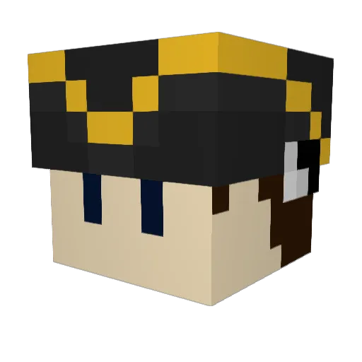 AntiCorona_Man Minecraft avatar head, 3D render