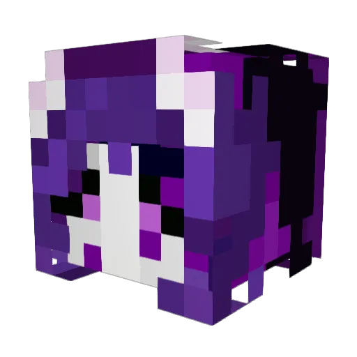 AntiDraws Minecraft avatar head, 3D render