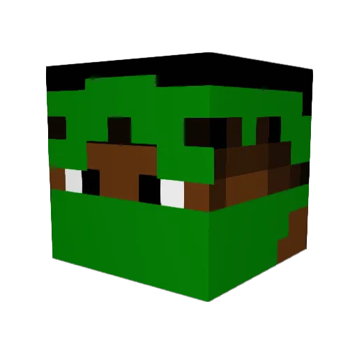 AntiEveryone Minecraft avatar head, 3D render