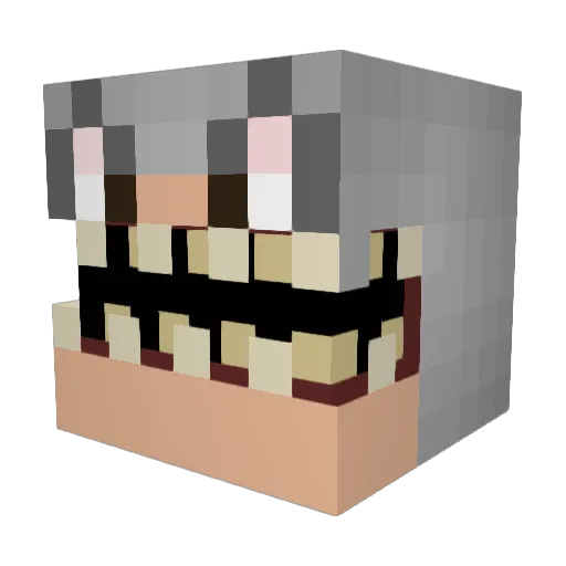 AntiGN_kitty Minecraft avatar head, 3D render