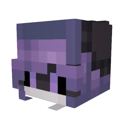 AntiGen1315 Minecraft avatar head, 3D render