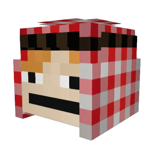 AntiGnomiK Minecraft avatar head, 3D render