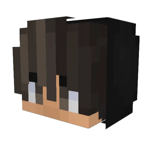 AntiKnxck Minecraft avatar head, 3D render