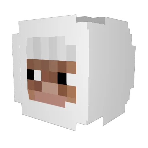 AntiLock Minecraft avatar head, 3D render