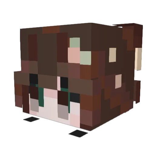 AntiSalOfficial Minecraft avatar head, 3D render