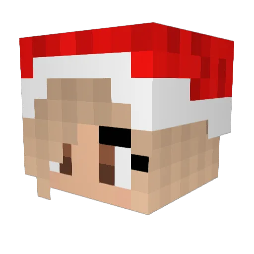 AntiSocialGirl17 Minecraft avatar head, 3D render