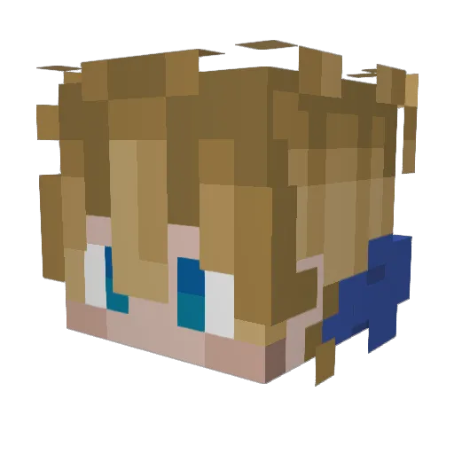 AntiSocialSquid Minecraft avatar head, 3D render