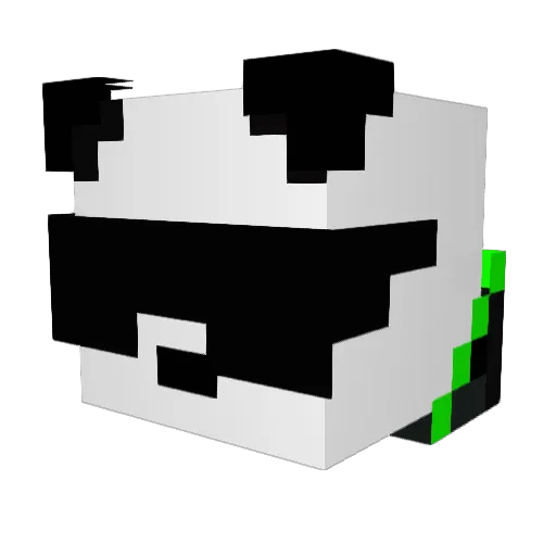 AntiVemon13 Minecraft avatar head, 3D render