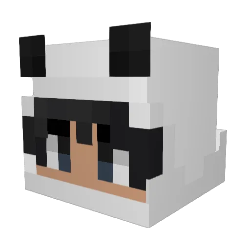 Anti_Death Minecraft avatar head, 3D render