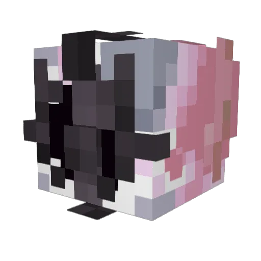 Anti_Ember Minecraft avatar head, 3D render