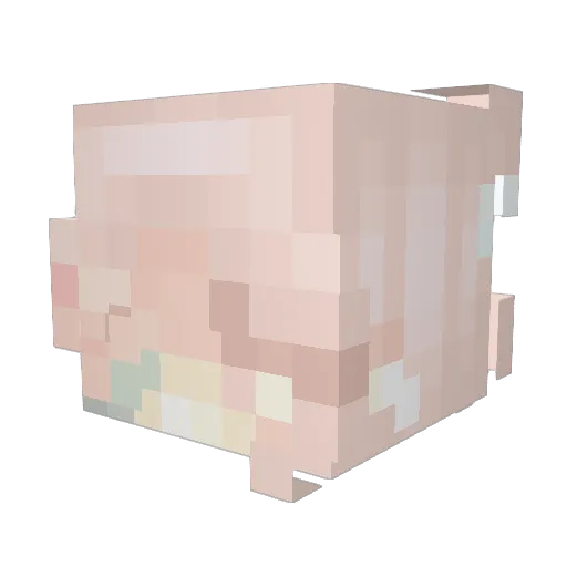 Anti_KB_ Minecraft avatar head, 3D render