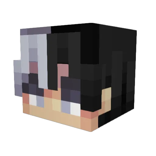 Anti_Social_Bean Minecraft avatar head, 3D render