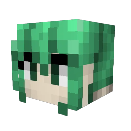 Antibnbn Minecraft avatar head, 3D render