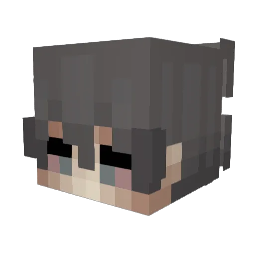 Antichristianity Minecraft avatar head, 3D render