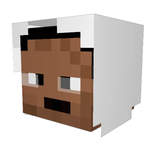 Anticorps_ Minecraft avatar head, 3D render