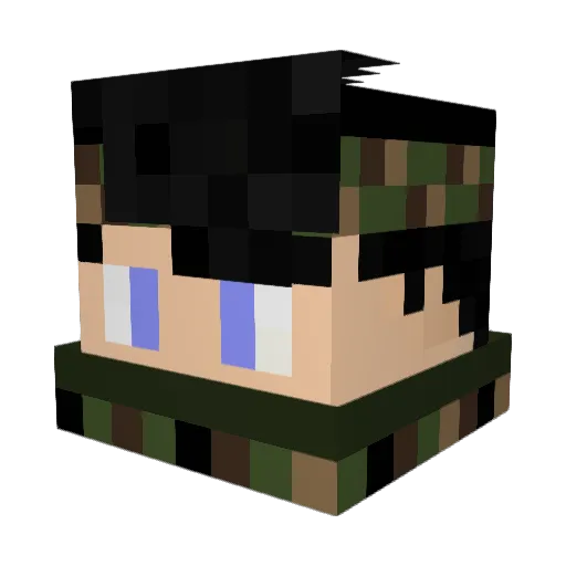 Anticrafter102 Minecraft avatar head, 3D render