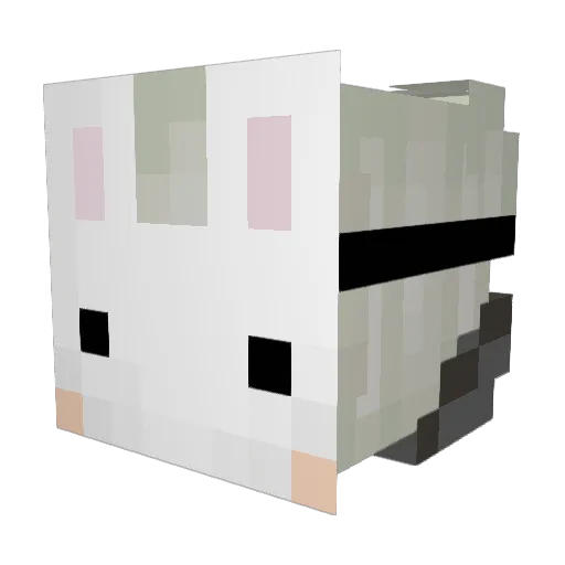 Antighoul69 Minecraft avatar head, 3D render