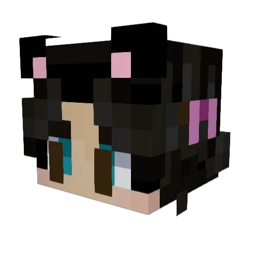 Antihormone Minecraft avatar head, 3D render